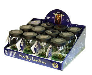 Firefly Solar Lantern