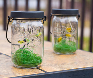 Firefly Solar Lantern
