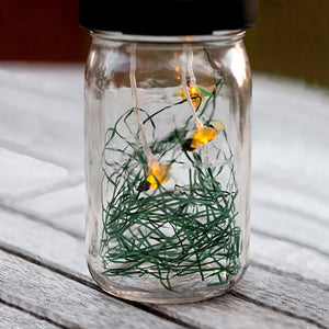 Firefly Solar Lantern